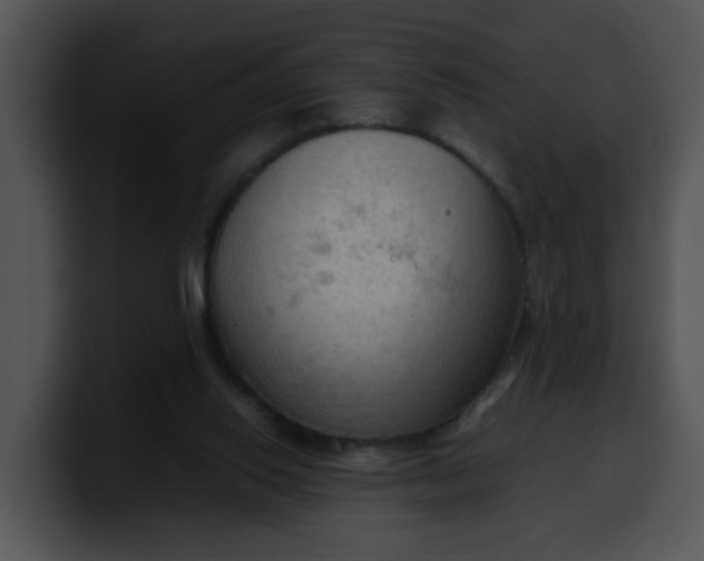 X0000099980062200806061532