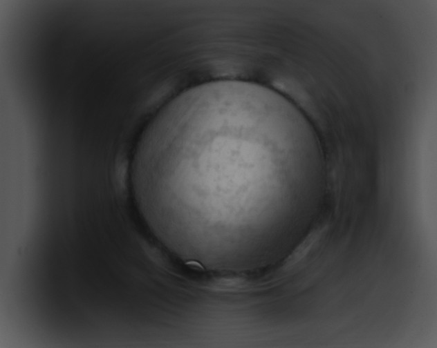 X0000099980066200806061532