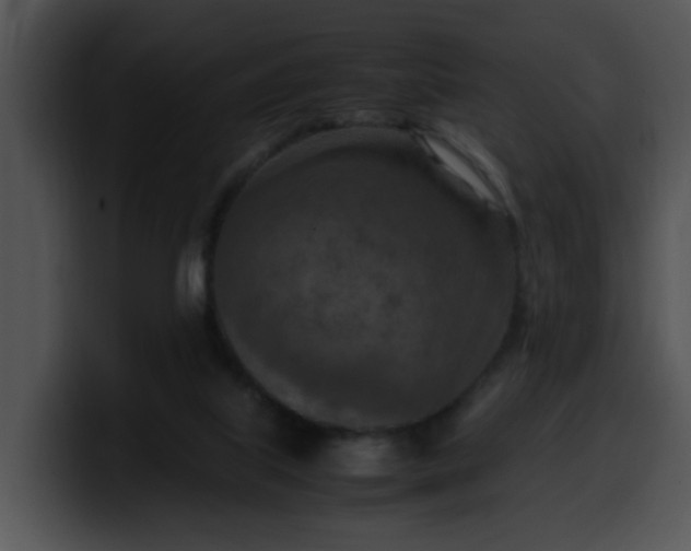 X0000099980067200806061532