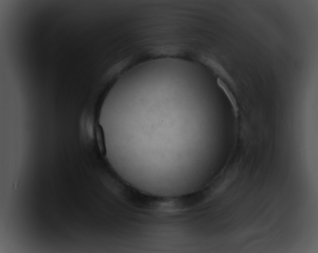 X0000099980068200806061532