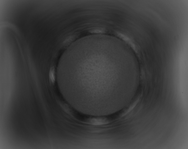 X0000099980069200806061532