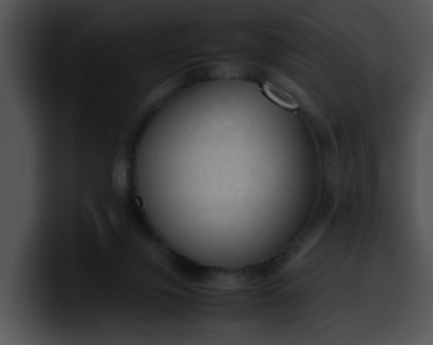 X0000099980071200806061532