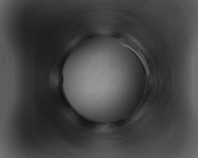 X0000099980072200806061532