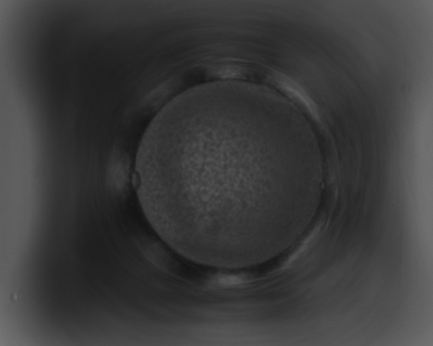 X0000099980073200806061532