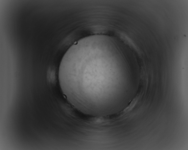 X0000099980074200806061532