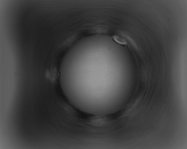 X0000099980077200806061532