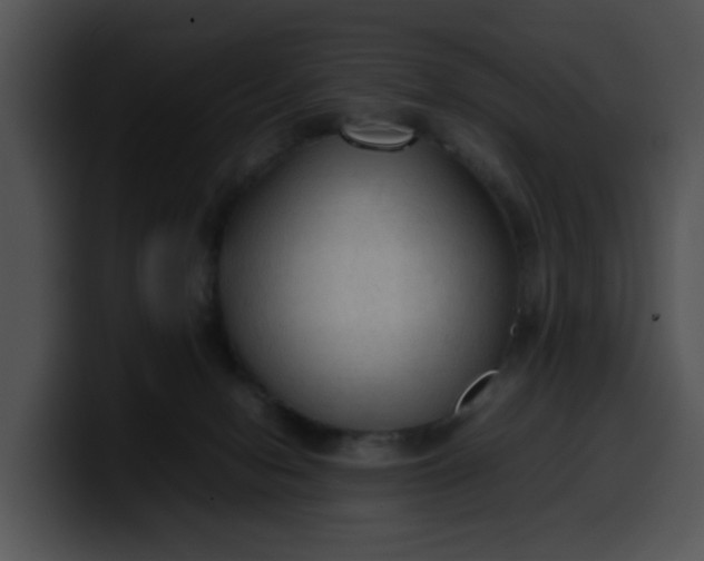 X0000099980078200806061532