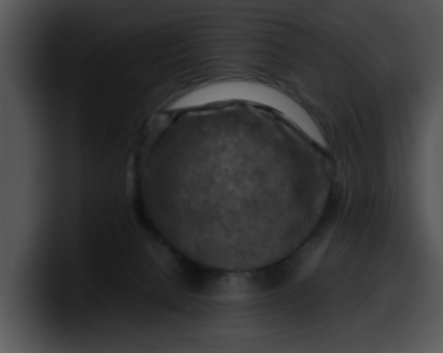 X0000099980080200806061532