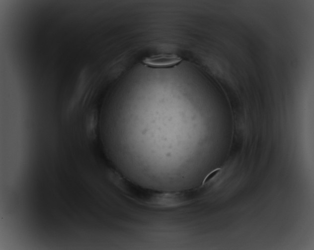 X0000099980082200806061532