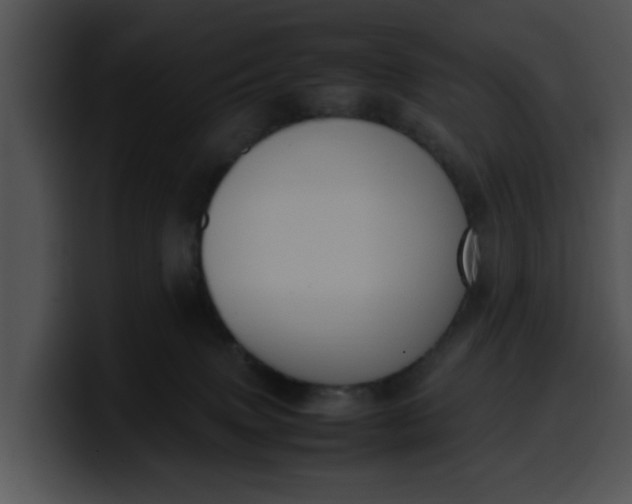 X0000099980083200806061532