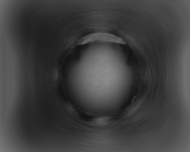 X0000099980084200806061532