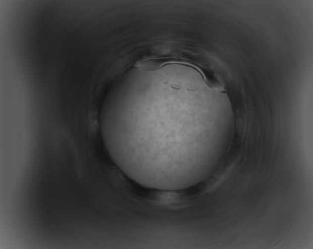 X0000099980085200806061532