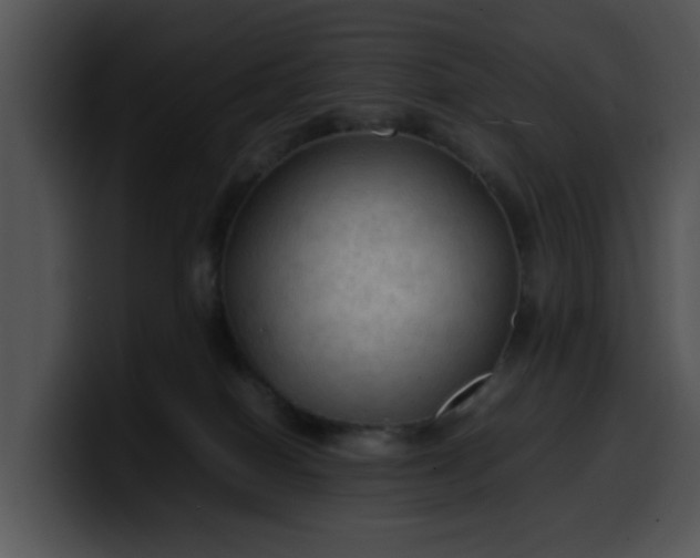 X0000099980086200806061532