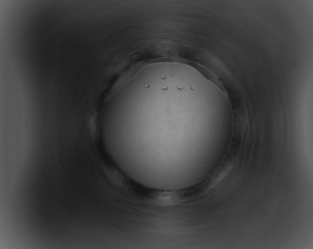 X0000099980088200806061532