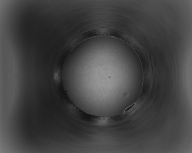 X0000099980090200806061532