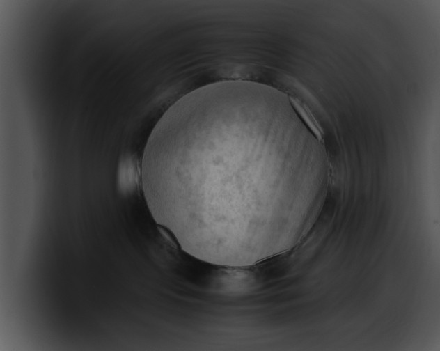 X0000099980095200806061532