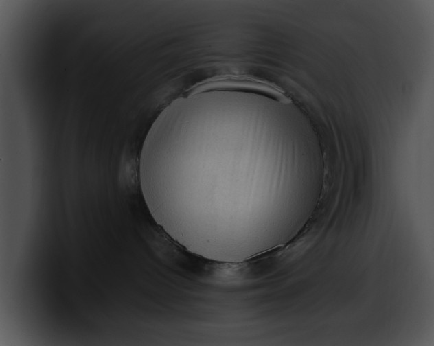 X0000099980096200806061532