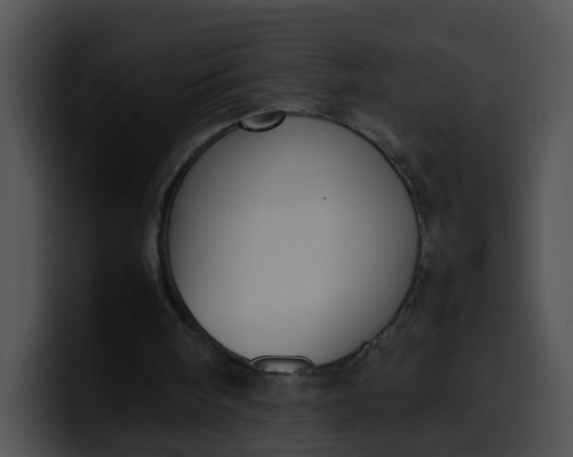 X0000099980098200806061532