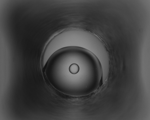 X0000099980100200806061532