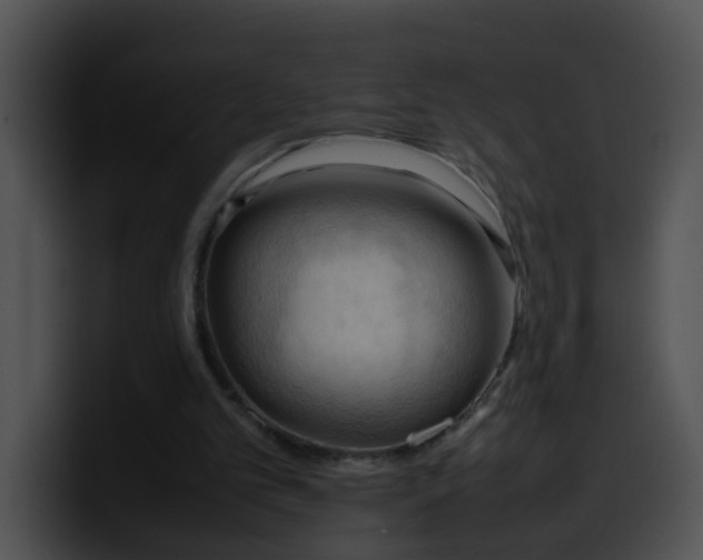 X0000099980101200806061532