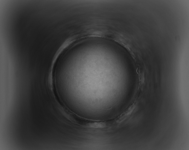 X0000099980102200806061532