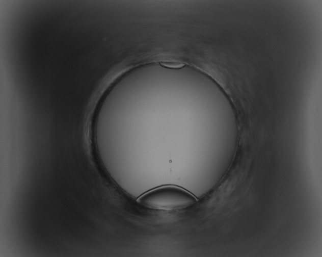 X0000099980103200806061532