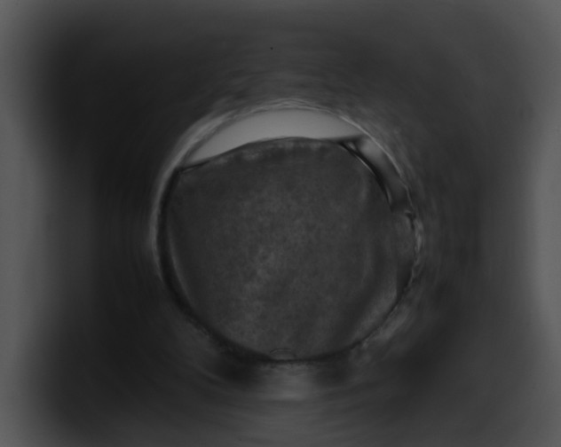 X0000099980104200806061532