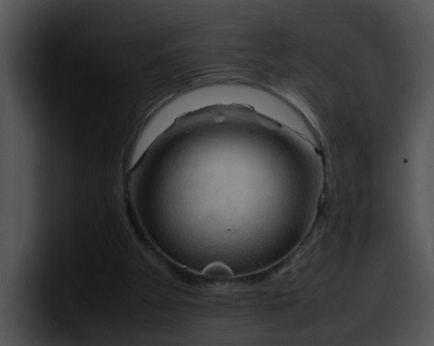 X0000099980105200806061532