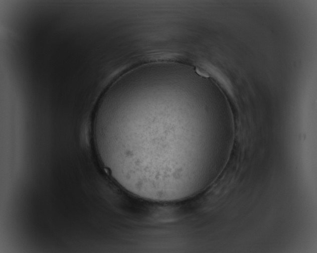 X0000099980107200806061532