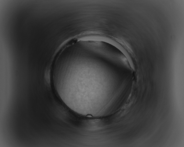 X0000099980108200806061532