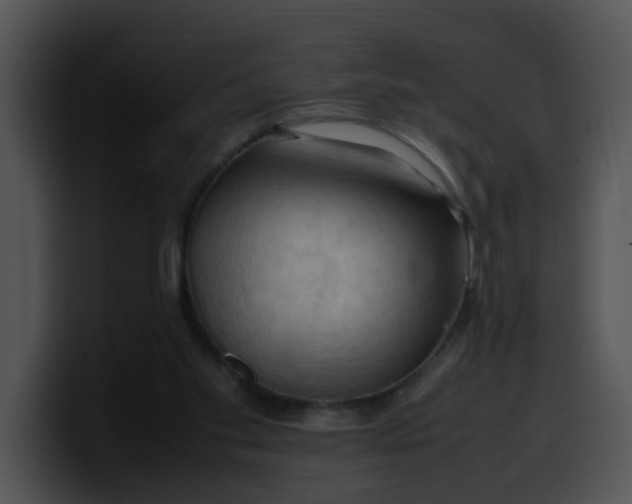 X0000099980109200806061532