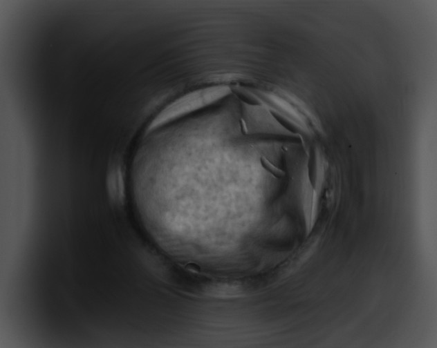 X0000099980110200806061532