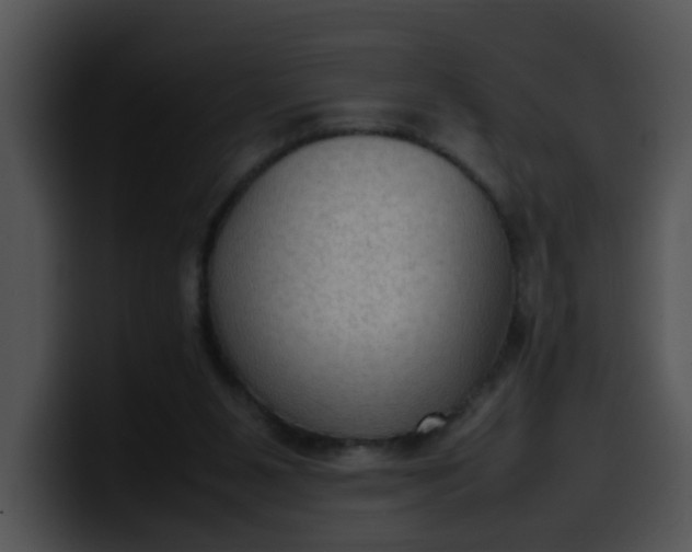 X0000099980111200806061532