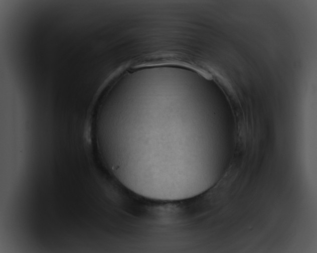 X0000099980112200806061532