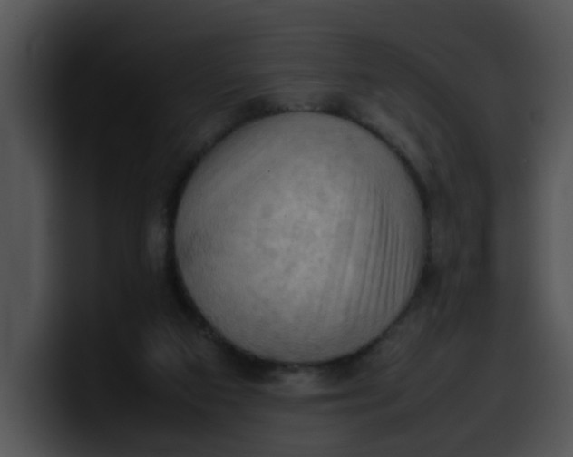 X0000099980113200806061532