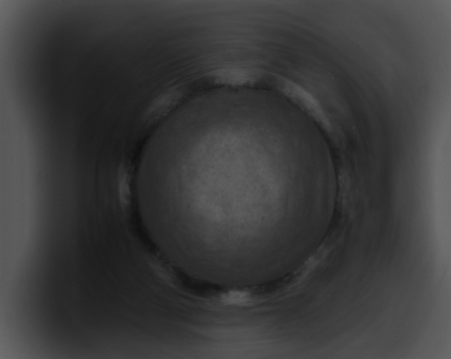 X0000099980114200806061532