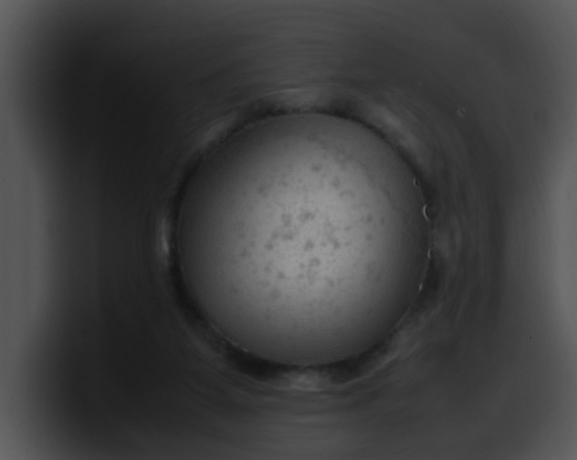 X0000099980115200806061532