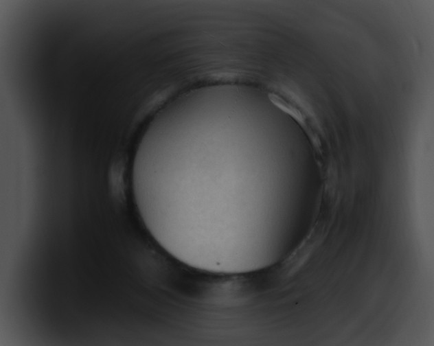 X0000099980116200806061532