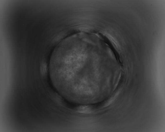 X0000099980117200806061532