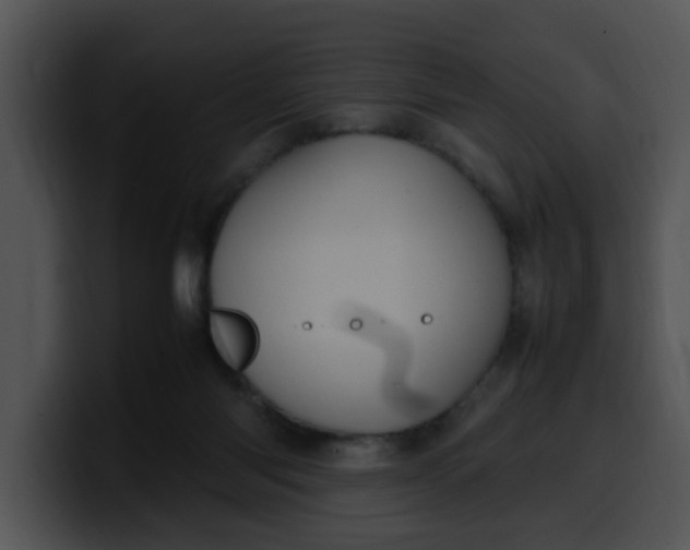 X0000099980118200806061531