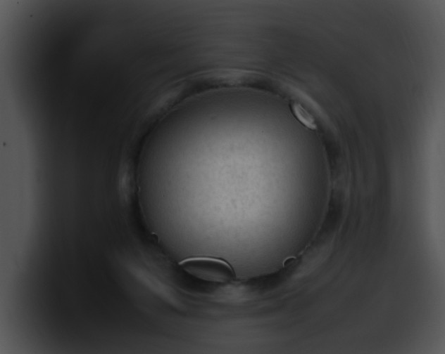 X0000099980119200806061531