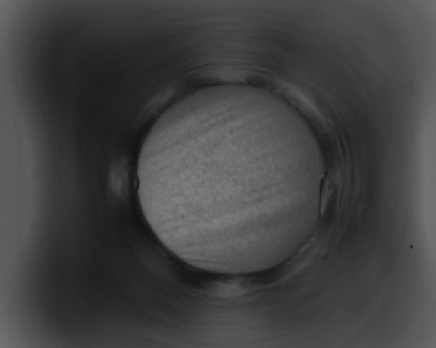 X0000099980120200806061531