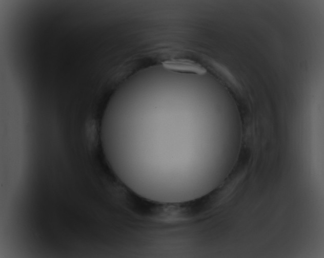 X0000099980121200806061531