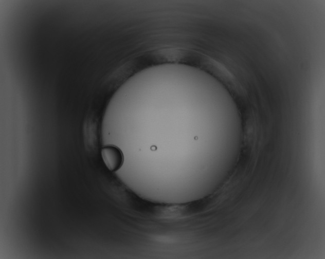 X0000099980122200806061531