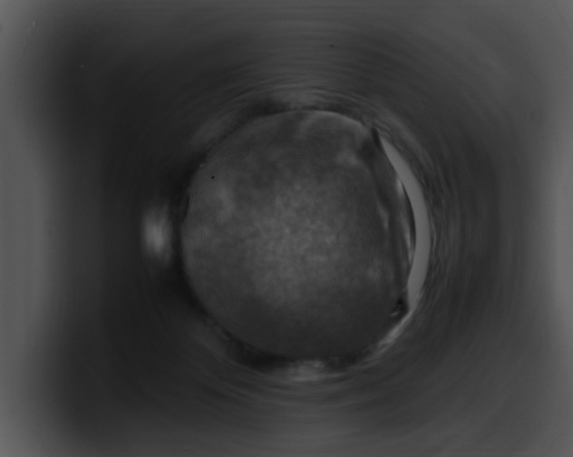 X0000099980124200806061531