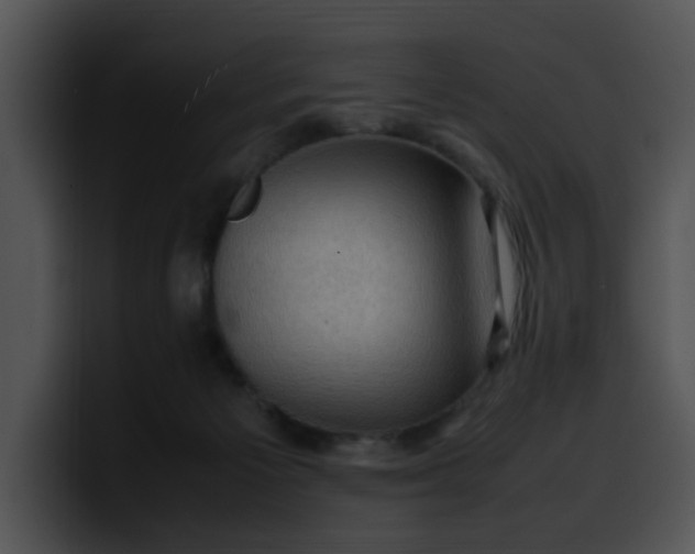 X0000099980125200806061531