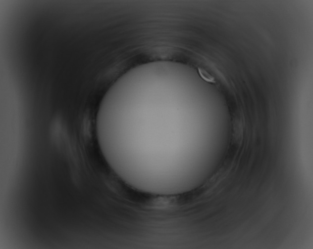 X0000099980126200806061531