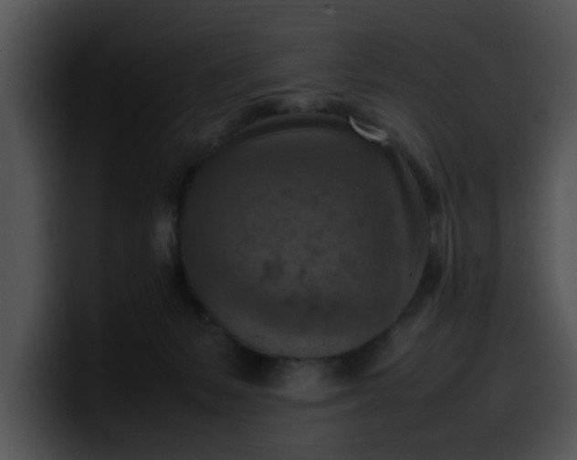 X0000099980127200806061531