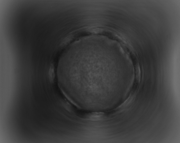 X0000099980128200806061531