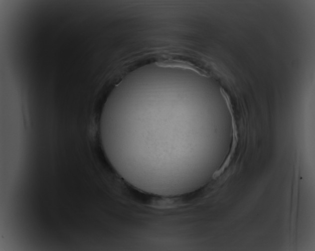 X0000099980129200806061531